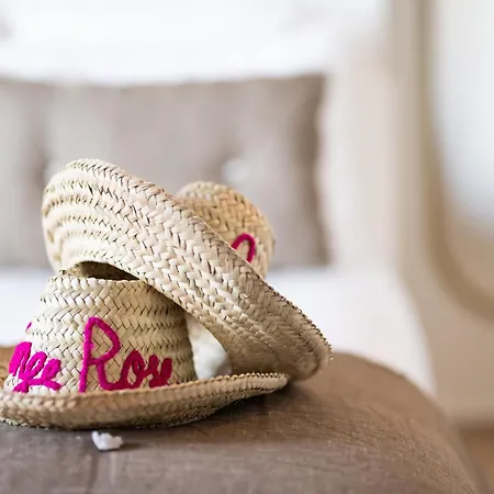Le Singe Rose-3